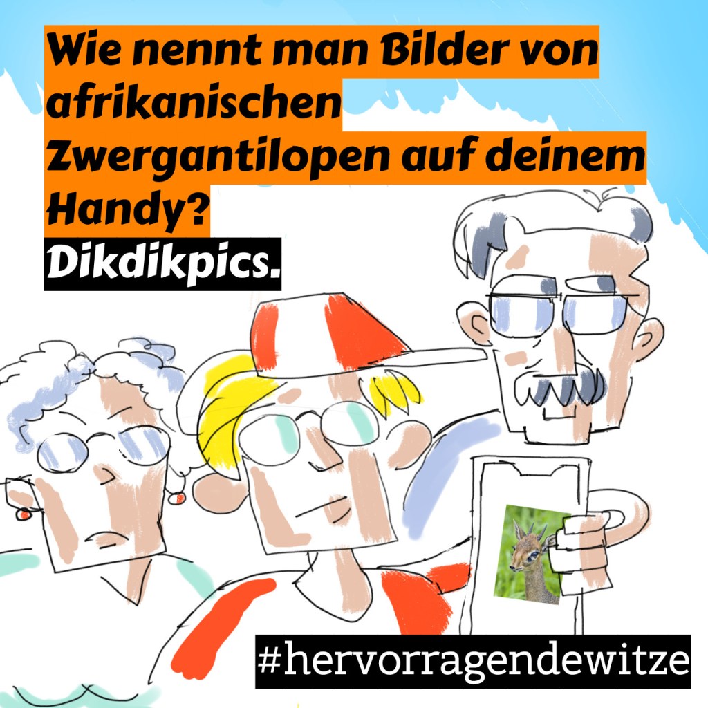 Johannes Schaack macht Witze auf Instagram: Wie nennt man Bilder von afrikanischen Zwergantilopen auf deinem Handy? Dikdikpics.