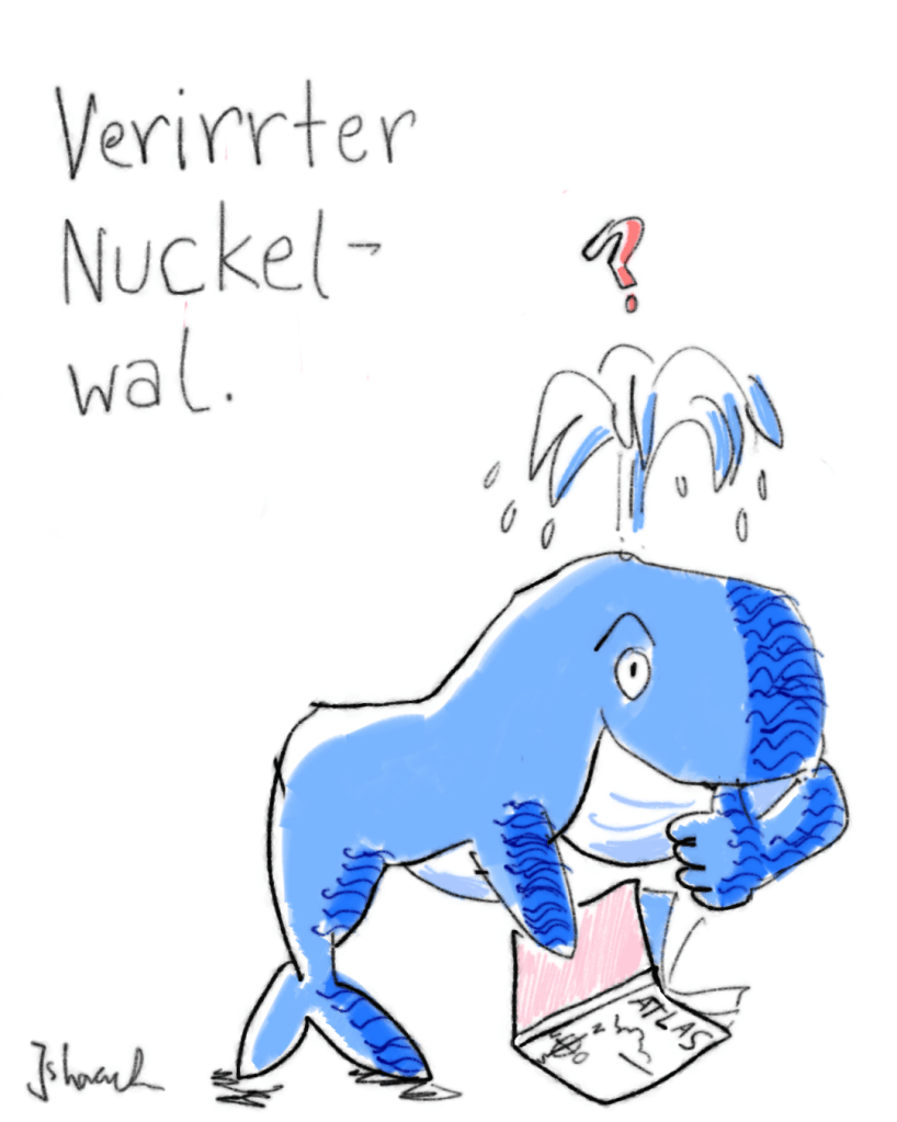 Nuckelwal – basierend auf Buckelwal Timmy